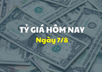 Tỷ giá hôm nay 7/8: Giá USD dần phục hồi