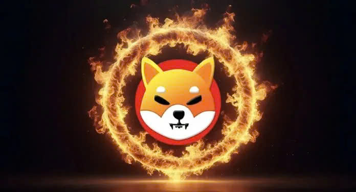 Shiba Inu: Tỷ lệ đốt tăng 48.000% – Bước ngoặt cho một đợt tăng giá mới?