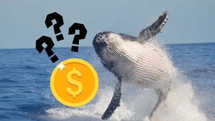 Cá Voi Mới Lãi 10 Triệu USD Nhờ Ethereum: Altcoin Nào Đang Hút Họ Đầu Tư Tiếp Theo?