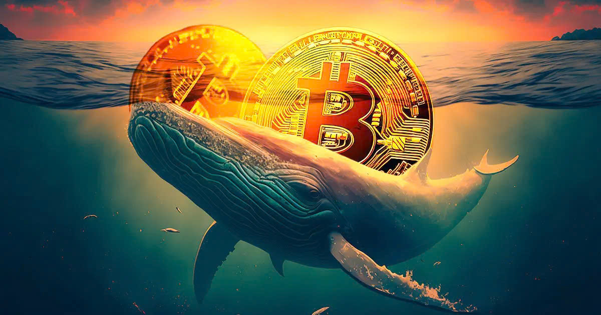 Hai cá voi “thời Satoshi” bất ngờ thức tỉnh, di chuyển 20,000 BTC