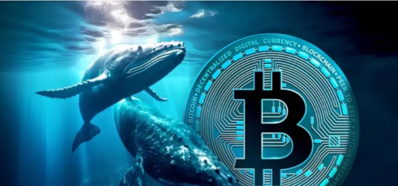 Nhiều cá voi từ thời Satoshi đang trở lại và bán tháo Bitcoin