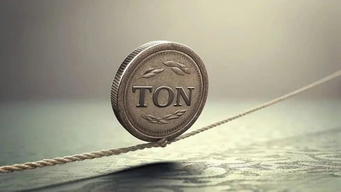 Công ty công nghệ Mỹ chơi lớn: Đổi tên và tích trữ Toncoin như vàng!