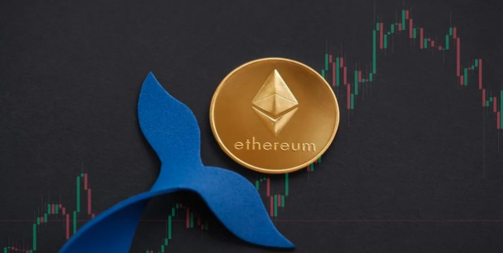 Cá voi Ethereum trị giá 4,3 tỷ USD vừa thức dậy sau 8 năm