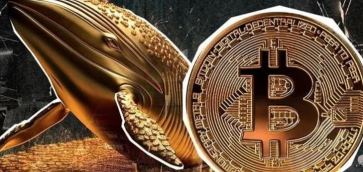 Bitcoin có thể đang được định giá thấp? Có khả năng các cá voi đã bắt đầu tích trữ