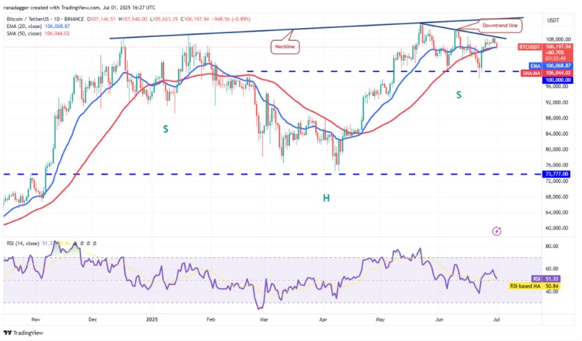 Biểu đồ giá bitcoin 1D