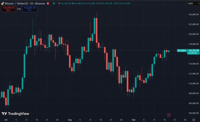 Biểu đồ giá bitcoin