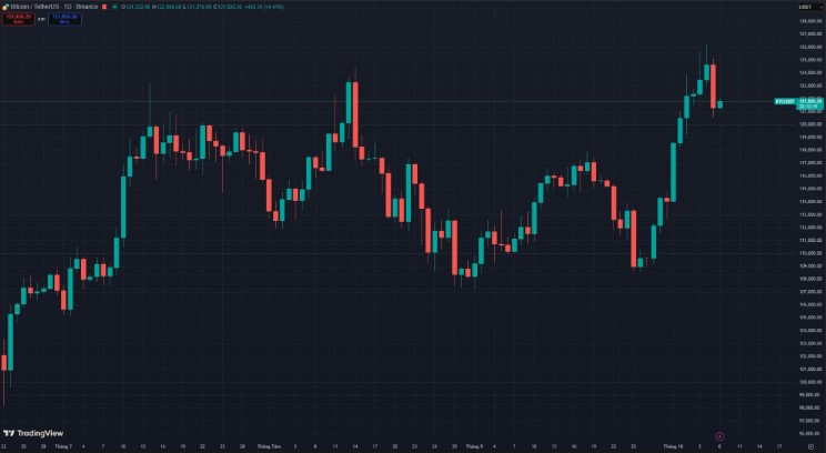 Biểu đồ giá của bitcoin