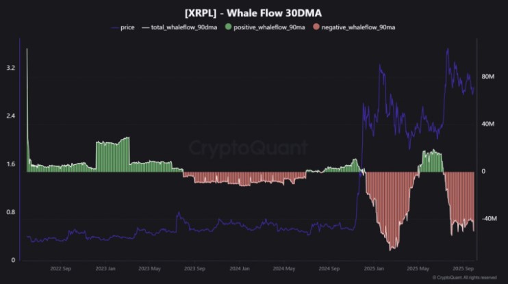 Biểu đồ ví cá voi XRP