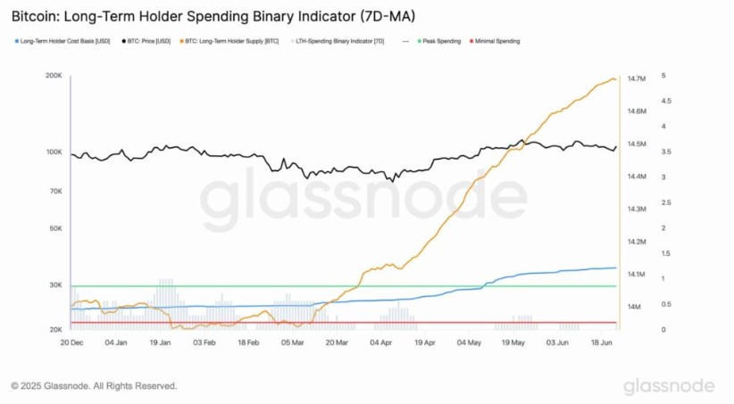 Dữ liệu của các nhà đầu tư bitcoin dài hạn 