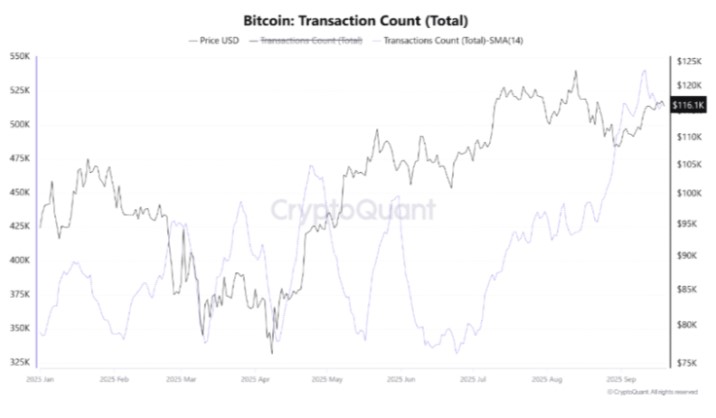 Dữ liệu từ CryptoQuant