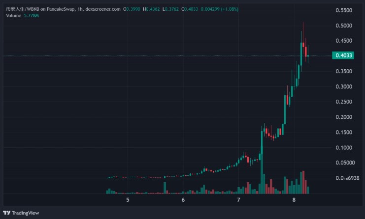 Memecoin 币安人生