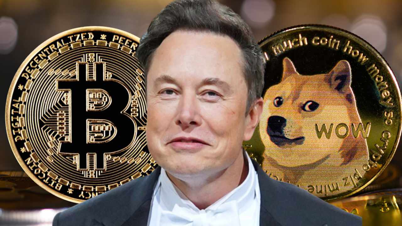 Elon Musk Mất Dần Sức Ảnh Hướng Đối Với Memecoin